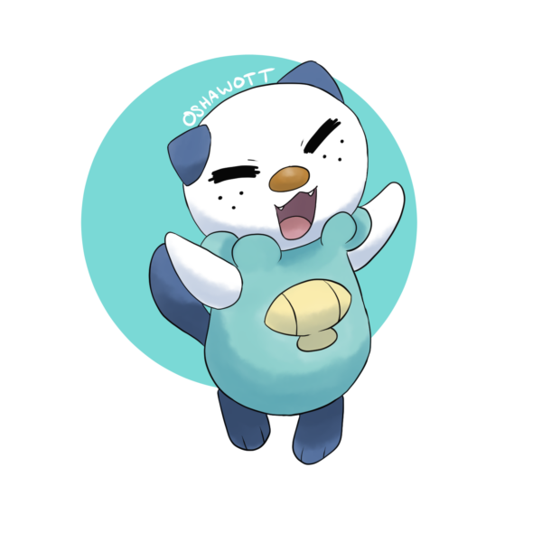 Sea Otter